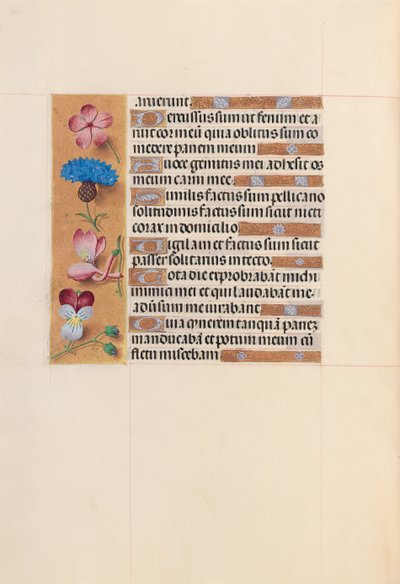 Horas de la Reina Isabel la Católica, Reina de España: Fol. 206v, c. 1500 de Master of the First Prayerbook of Maximillian