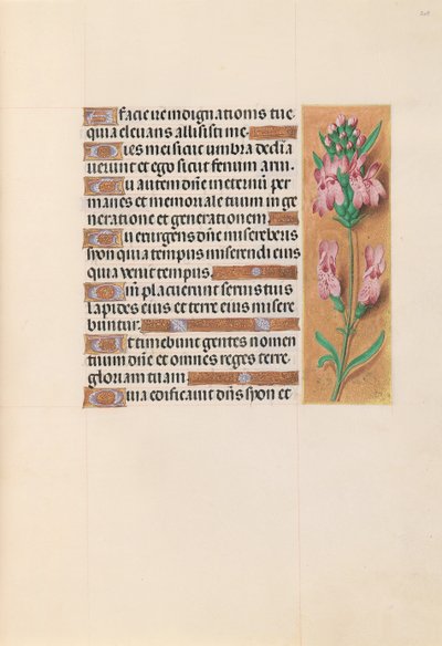 Horas de la Reina Isabel la Católica, Reina de España: Fol. 207r, c. 1500 de Master of the First Prayerbook of Maximillian