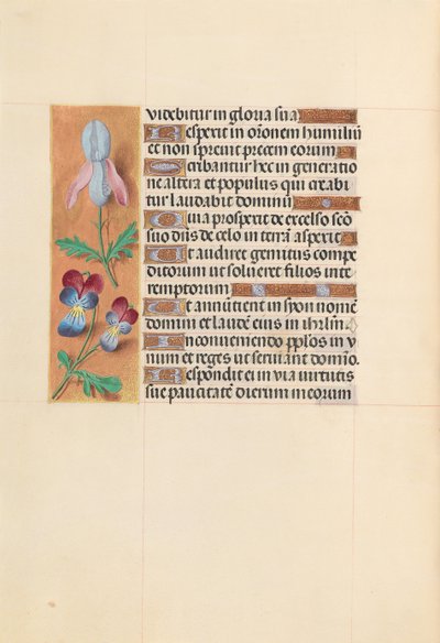Libro de Horas de la Reina Isabel la Católica, Reina de España: Fol. 207v, c. 1500 de Master of the First Prayerbook of Maximillian