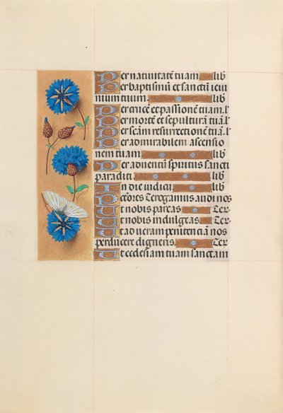 Horas de la Reina Isabel la Católica, Reina de España: Fol. 213v, c. 1500 de Master of the First Prayerbook of Maximillian