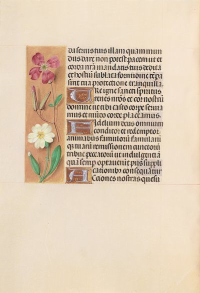Horas de la Reina Isabel la Católica, Reina de España: Fol. 217v de Master of the First Prayerbook of Maximillian