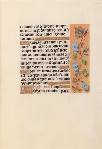 Horas de la Reina Isabel la Católica, Reina de España: Fol. 227r, c. 1500 de Master of the First Prayerbook of Maximillian