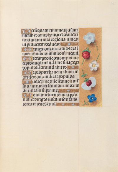 Horas de la Reina Isabel la Católica, Reina de España: Fol. 230r, c. 1500 de Master of the First Prayerbook of Maximillian