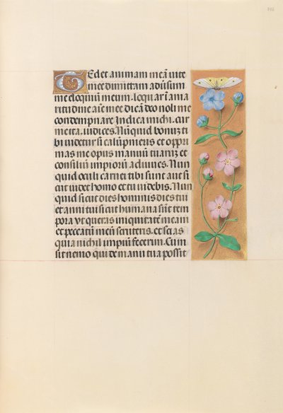 Horas de la Reina Isabel la Católica, Reina de España: Fol. 232r, c. 1500 de Master of the First Prayerbook of Maximillian