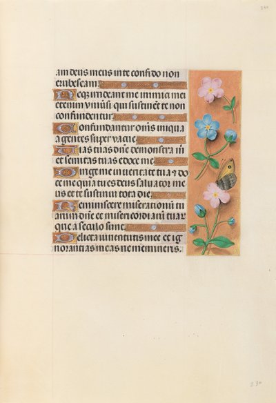 Horas de la Reina Isabel la Católica, Reina de España: Fol. 234r, c. 1500 de Master of the First Prayerbook of Maximillian