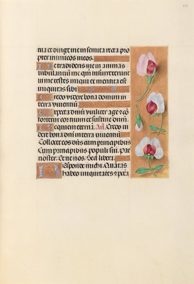 Horas de la Reina Isabel la Católica, Reina de España: Fol. 237r de Master of the First Prayerbook of Maximillian