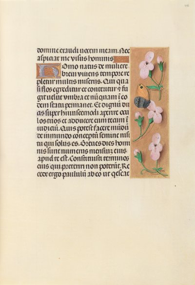 Horas de la Reina Isabel la Católica, Reina de España: Fol. 238r de Master of the First Prayerbook of Maximillian