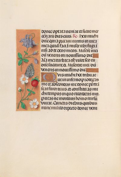 Horas de la Reina Isabel la Católica, Reina de España: Fol. 238v, c. 1500 de Master of the First Prayerbook of Maximillian