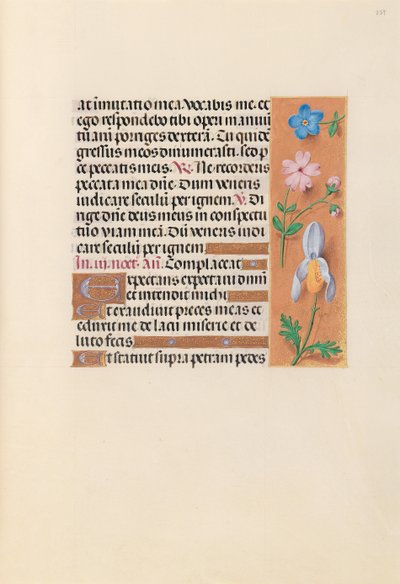 Horas de la Reina Isabel la Católica, Reina de España: Fol. 239r, c. 1500 de Master of the First Prayerbook of Maximillian