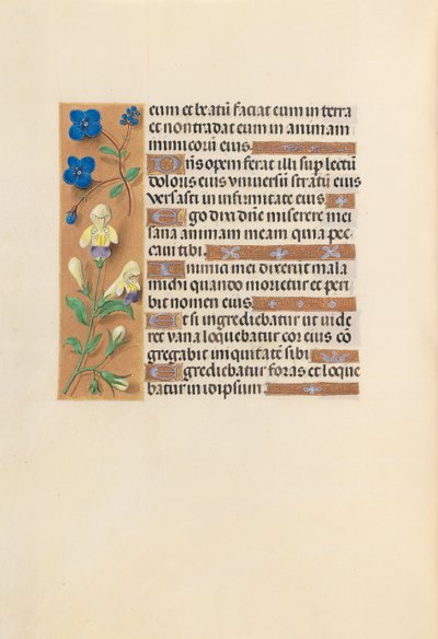 Horas de la Reina Isabel la Católica, Reina de España: Fol. 241v, c. 1500 de Master of the First Prayerbook of Maximillian