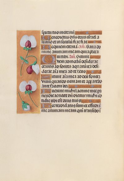 Horas de la Reina Isabel la Católica, Reina de España: Fol. 242v, c. 1500 de Master of the First Prayerbook of Maximillian