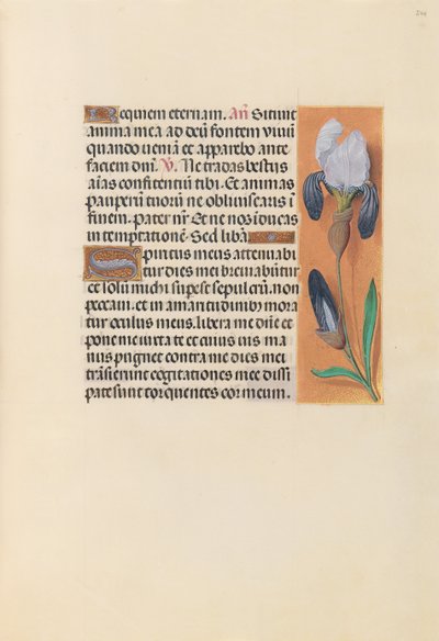 Horas de la Reina Isabel la Católica, Reina de España: Fol. 244r, c. 1500 de Master of the First Prayerbook of Maximillian