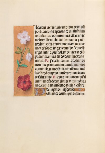 Horas de la Reina Isabel la Católica, Reina de España: Fol. 244v, c. 1500 de Master of the First Prayerbook of Maximillian