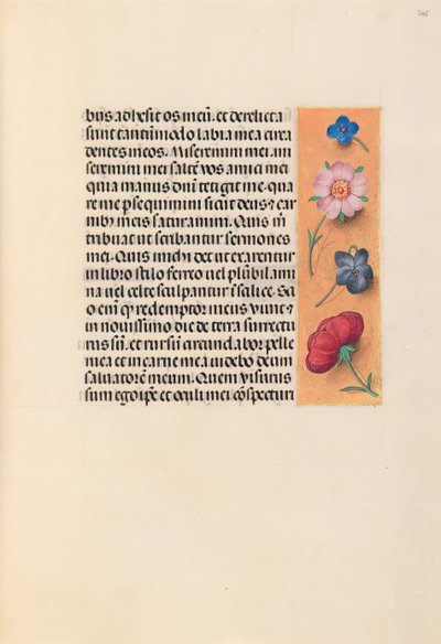 Horas de la Reina Isabel la Católica, Reina de España: Fol. 245r, c. 1500 de Master of the First Prayerbook of Maximillian