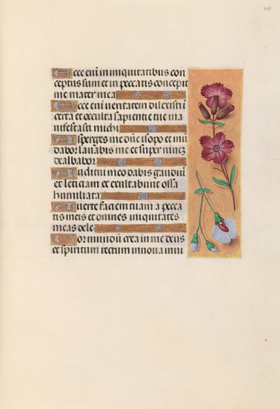 Horas de la Reina Isabel la Católica, Reina de España: Fol. 247r, c. 1500 de Master of the First Prayerbook of Maximillian