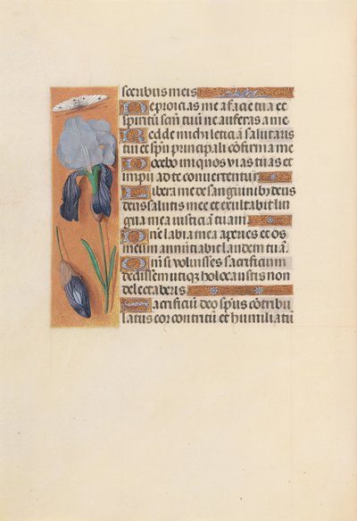 Horas de la Reina Isabel la Católica, Reina de España: Fol. 247v, c. 1500 de Master of the First Prayerbook of Maximillian