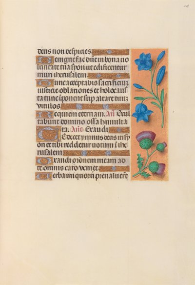 Horas de la Reina Isabel la Católica, Reina de España: Fol. 248r, c. 1500 de Master of the First Prayerbook of Maximillian