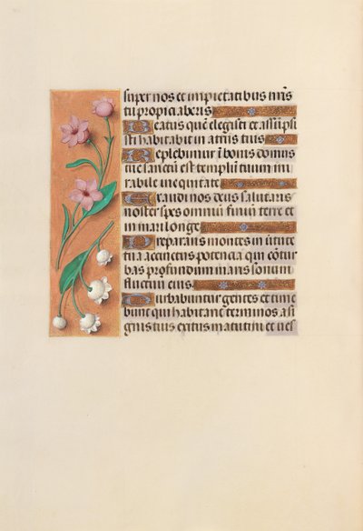 Horas de la Reina Isabel la Católica, Reina de España: Fol. 248v, c. 1500 de Master of the First Prayerbook of Maximillian