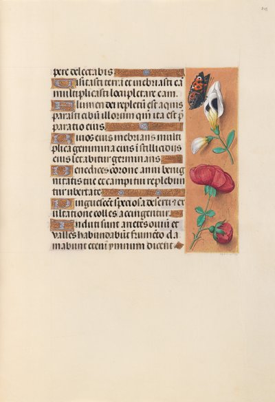 Horas de la Reina Isabel la Católica, Reina de España:  Fol. 249r de Master of the First Prayerbook of Maximillian