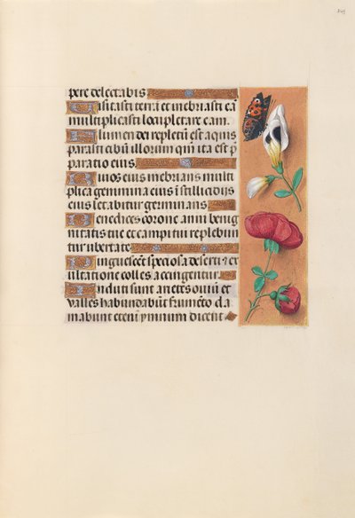 Horas de la Reina Isabel la Católica, Reina de España: Fol. 249r, c. 1500 de Master of the First Prayerbook of Maximillian