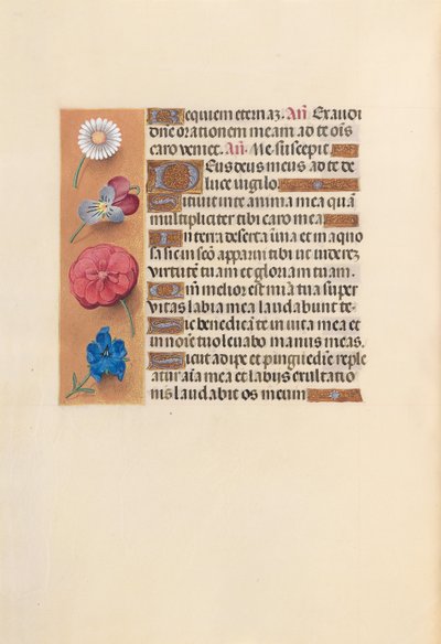 Horas de la Reina Isabel la Católica, Reina de España: Fol. 249v, c. 1500 de Master of the First Prayerbook of Maximillian