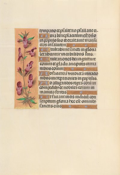 Horas de la Reina Isabel la Católica, Reina de España: Fol. 253v, c. 1500 de Master of the First Prayerbook of Maximillian
