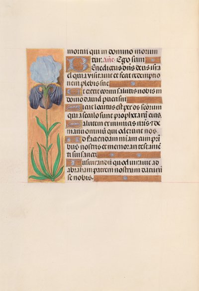 Horas de la Reina Isabel la Católica, Reina de España: Fol. 254v, c. 1500 de Master of the First Prayerbook of Maximillian