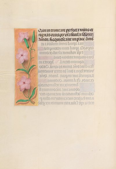 Horas de la Reina Isabel la Católica, Reina de España: Fol. 256v, Virgen y Niño de Master of the First Prayerbook of Maximillian