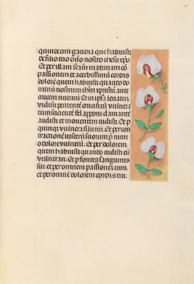 Horas de la Reina Isabel la Católica, Reina de España: Fol. 259r, c. 1500 de Master of the First Prayerbook of Maximillian