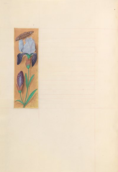 Horas de la Reina Isabel la Católica, Reina de España: Fol. 277v, c. 1500 de Master of the First Prayerbook of Maximillian