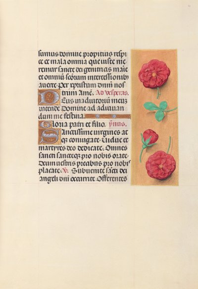 Horas de la reina Isabel la Católica, reina de España: Fol. 41r, c. 1500 de Master of the First Prayerbook of Maximillian