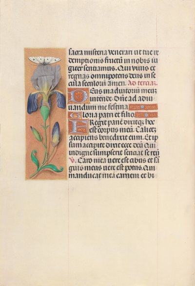 Horas de la Reina Isabel la Católica, Reina de España: Fol. 45v, c. 1500 de Master of the First Prayerbook of Maximillian