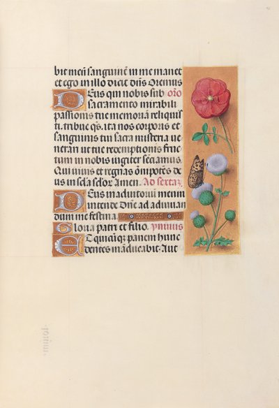 Horas de la Reina Isabel la Católica, Reina de España:  Fol. 46r de Master of the First Prayerbook of Maximillian