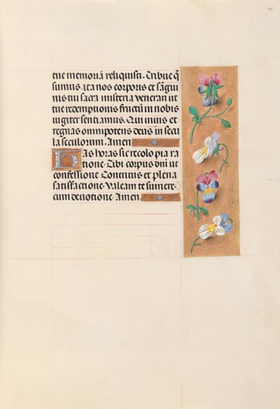 Horas de la Reina Isabel la Católica, Reina de España: Fol. 49r, c. 1500 de Master of the First Prayerbook of Maximillian