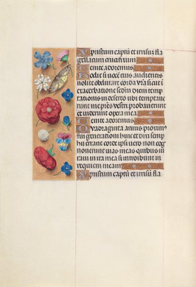 Horas de la Reina Isabel la Católica, Reina de España: Fol. 51v, c. 1500 de Master of the First Prayerbook of Maximillian