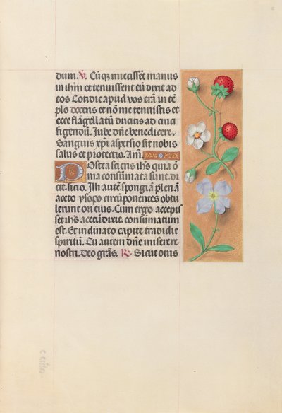 Horas de la Reina Isabel la Católica, Reina de España: Fol. 55r, c. 1500 de Master of the First Prayerbook of Maximillian
