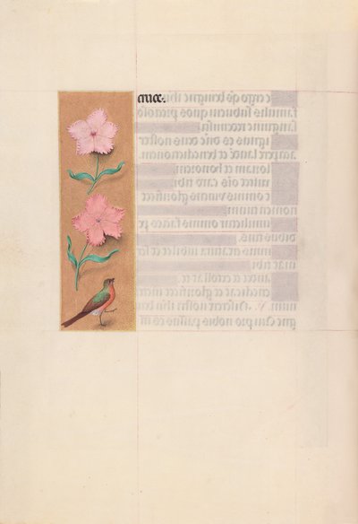 Horas de la Reina Isabel la Católica, Reina de España:  Fol. 56v de Master of the First Prayerbook of Maximillian