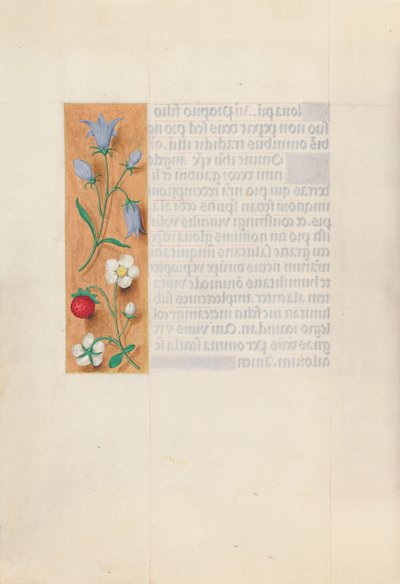 Horas de la Reina Isabel la Católica, Reina de España: Fol. 60v, c. 1500 de Master of the First Prayerbook of Maximillian