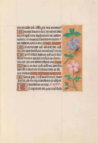 Horas de la Reina Isabel la Católica, Reina de España: Fol. 62r, c. 1500 de Master of the First Prayerbook of Maximillian