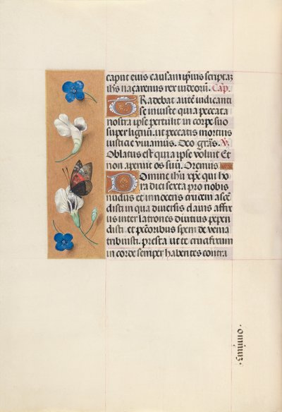 Horas de la Reina Isabel la Católica, Reina de España:  Fol. 67v de Master of the First Prayerbook of Maximillian