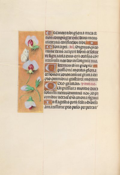 Horas de la Reina Isabel la Católica, Reina de España: Fol. 74v, c. 1500 de Master of the First Prayerbook of Maximillian