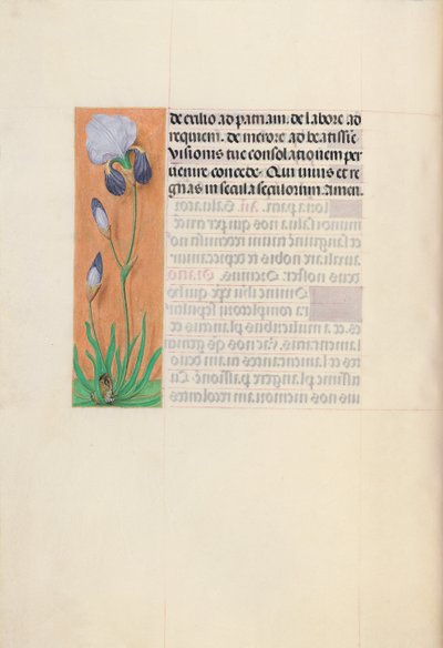 Horas de la Reina Isabel la Católica, Reina de España: Fol. 79v, c. 1500 de Master of the First Prayerbook of Maximillian