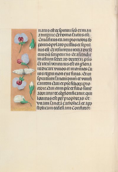 Horas de la Reina Isabel la Católica, Reina de España: Fol. 91v, c. 1500 de Master of the First Prayerbook of Maximillian