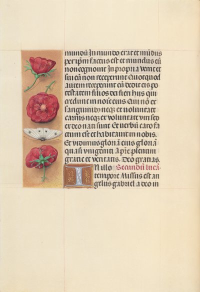Horas de la Reina Isabel la Católica, Reina de España: Fol. 93v, c. 1500 de Master of the First Prayerbook of Maximillian