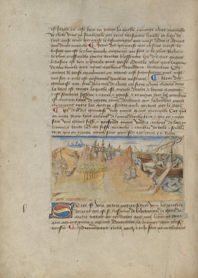 China (Seres) de Master of the Geneva Boccaccio