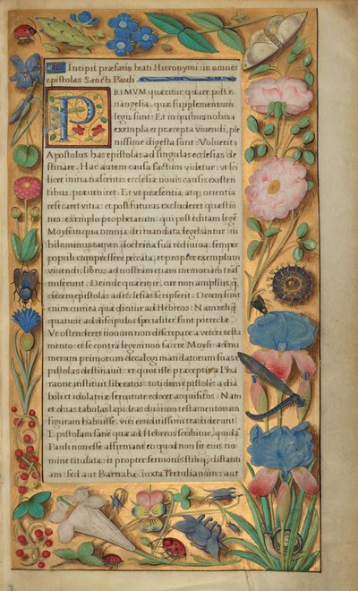 Página de texto decorada de Master of the Getty Epistles