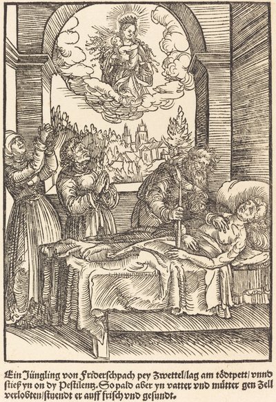 Ein Jungling von Friderschpach ... de Master of the Miracles of Mariazell