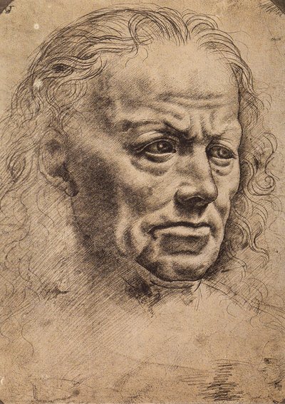 Cabeza de un hombre de Master of the Pala Sforzesca