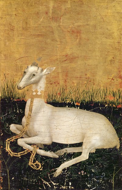 Ciervo Blanco, del 
