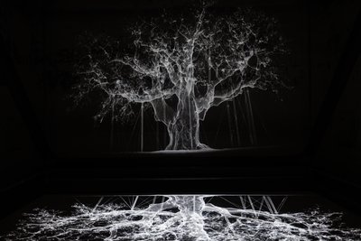 Albion, 2017 (Proyector, reproductor multimedia, andamio, película transparente, madera, pintura, espejo, accesorios de estiramiento) de Mat Collishaw